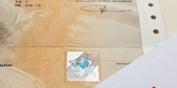 numéro vin carte grise