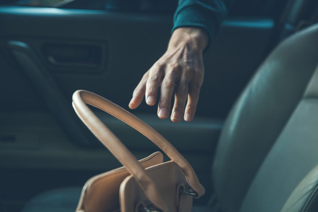 vol carte grise voiture sac à main