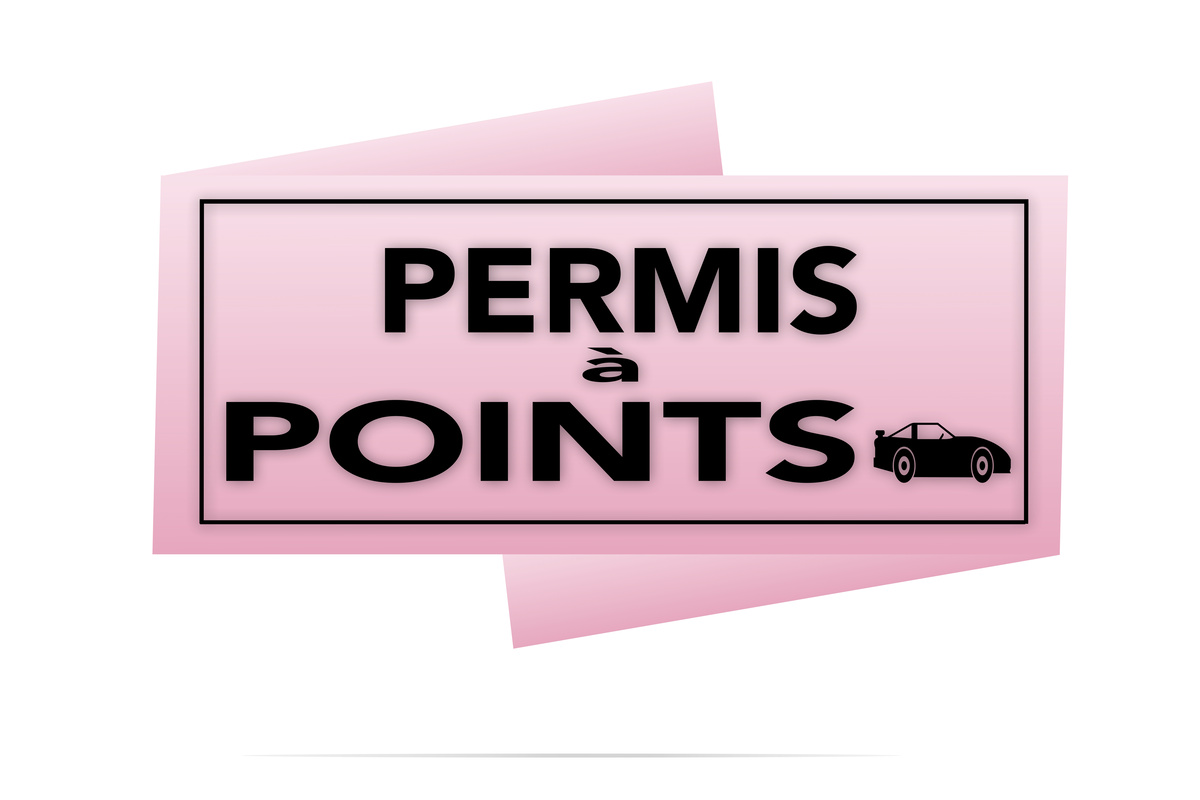 Sauvegarder son permis de conduire : stage de récupération de points et solde de points 2026